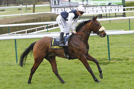 Actualités Hippiques